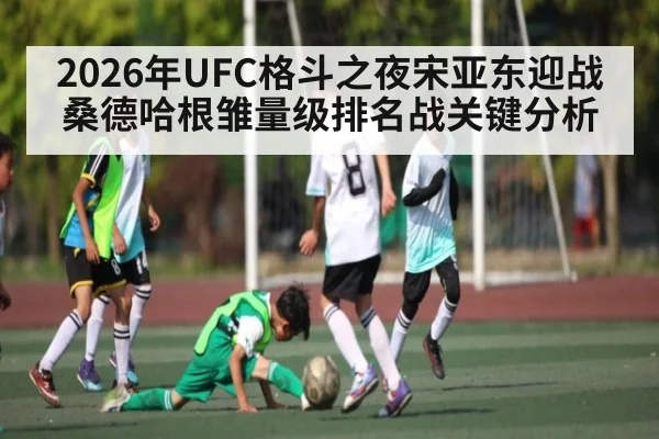 2026年UFC格斗之夜宋亚东迎战桑德哈根雏量级排名战关键分析